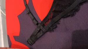 Net Transparent Bra 32B