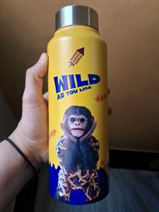 Funky Monkey Water Bottle