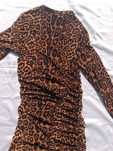 Sheer Cheetah Print Dress