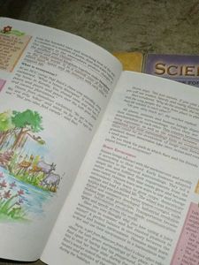 Our Environment Textbook