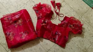 Organza Saree