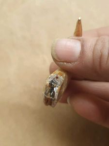 original sher k nail with gold dip 100%pure