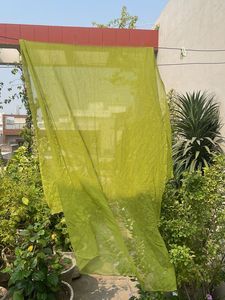 Lightweight Green Dupatta
