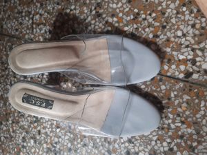 Transpant Heels