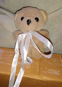Cute Plush Teddy Bear