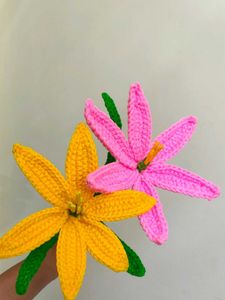 Handmade Crochet Flower Set