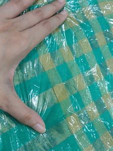 Green Saree with Gold Stripes