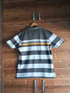 Men's Polo T Shirt