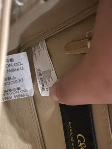 charles and Kieth bag