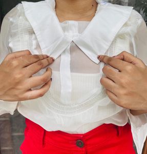 Organza Sheer Stiff Collar Top