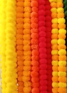 Marigold Strings