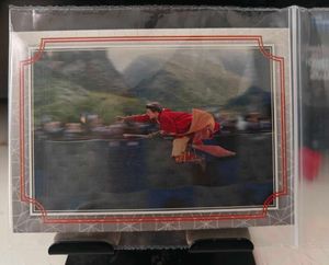 Harry Potter Quidditch Trading Card