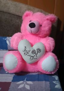 Big teddy bear