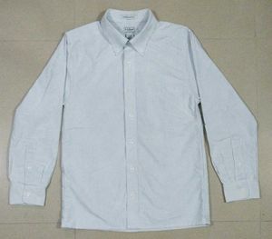 LLBean Striped Button-Down Shirt