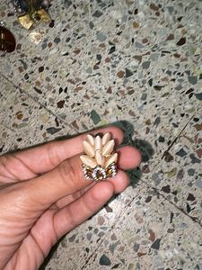 Set of 2 Statement Rings