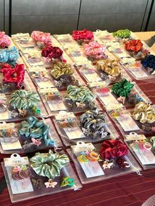 Satin Scrunchie & Hair Clip Set of 6