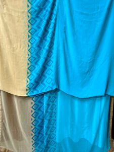 Elegant Saree without Blouse