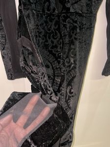 Velvet Dragon Print Dress