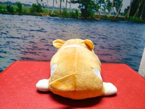 Cute Pig Plush Toy