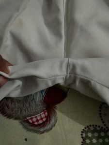 school uniform white short