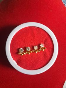 beautiful new earrings