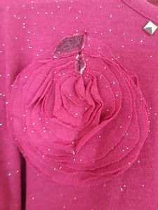 Skirt With Metching Stretch Top Looking Designer