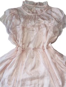 Sheer Pink Ruffled mid length top