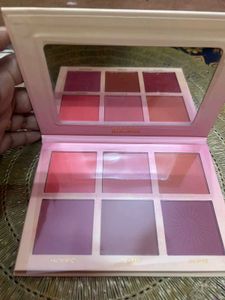 Professional Makeup Brush Set &amp; Blush Palette