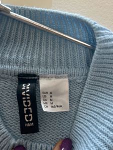 H&amp;M Women Blue Solid Acrylic Jumper