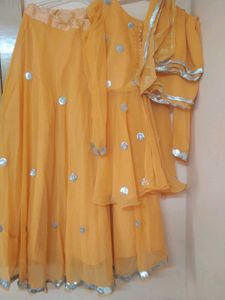 beautiful Indo Western lehenga