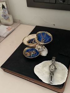 Shell Jewelry Organizer