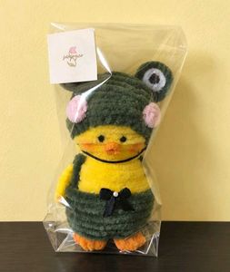 Fuzzy Froggy Duck Plush🐸🌟
