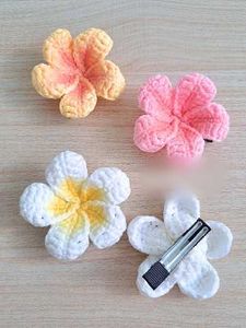 Crocheted Flower Hair Clips - Set of 2