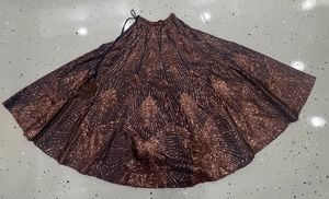 Sparkling Sequin Lehenga Choli Set