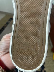 Coach Olive Green Sneakers