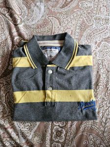 Imported Striped Polo T-Shirt
