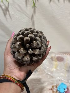 Natural Pine Cone Decor