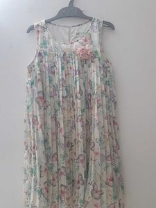 H&amp;M Butterfly print Pleated Dress