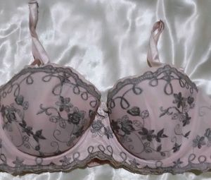 Elegant Pink Embroidered Bra