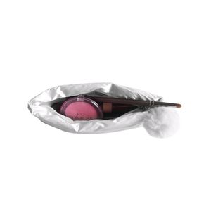 Colorbar Sheen Pouch