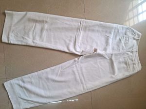 Stylish straight-Leg Pants