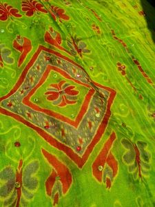 parrot green saree