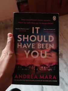 It Should Have Been You - Andrea Mara