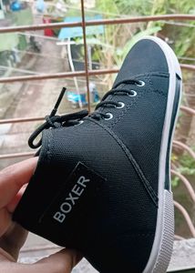 BOXER SHOES 