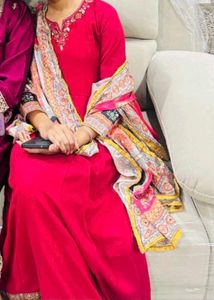 Elegant Red Ethnic Gown