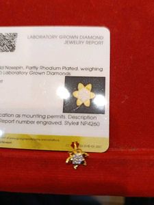 Star Nose Pin