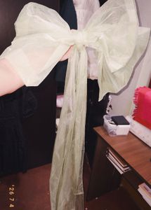 Prom / Party / Farewell Gown 💚