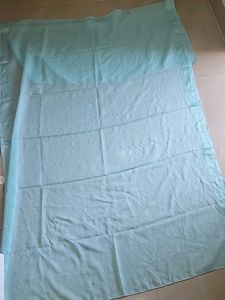 Elegant Light Blue Saree