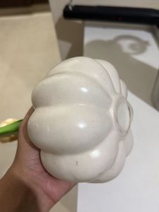Cute White Pumpkin Vase with Tulip