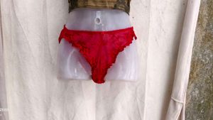 I. Red Lace Bikini Briefs